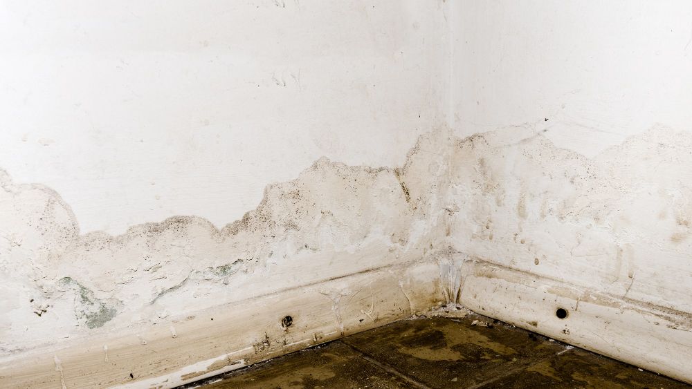 Can You Paint Over Water Stains?