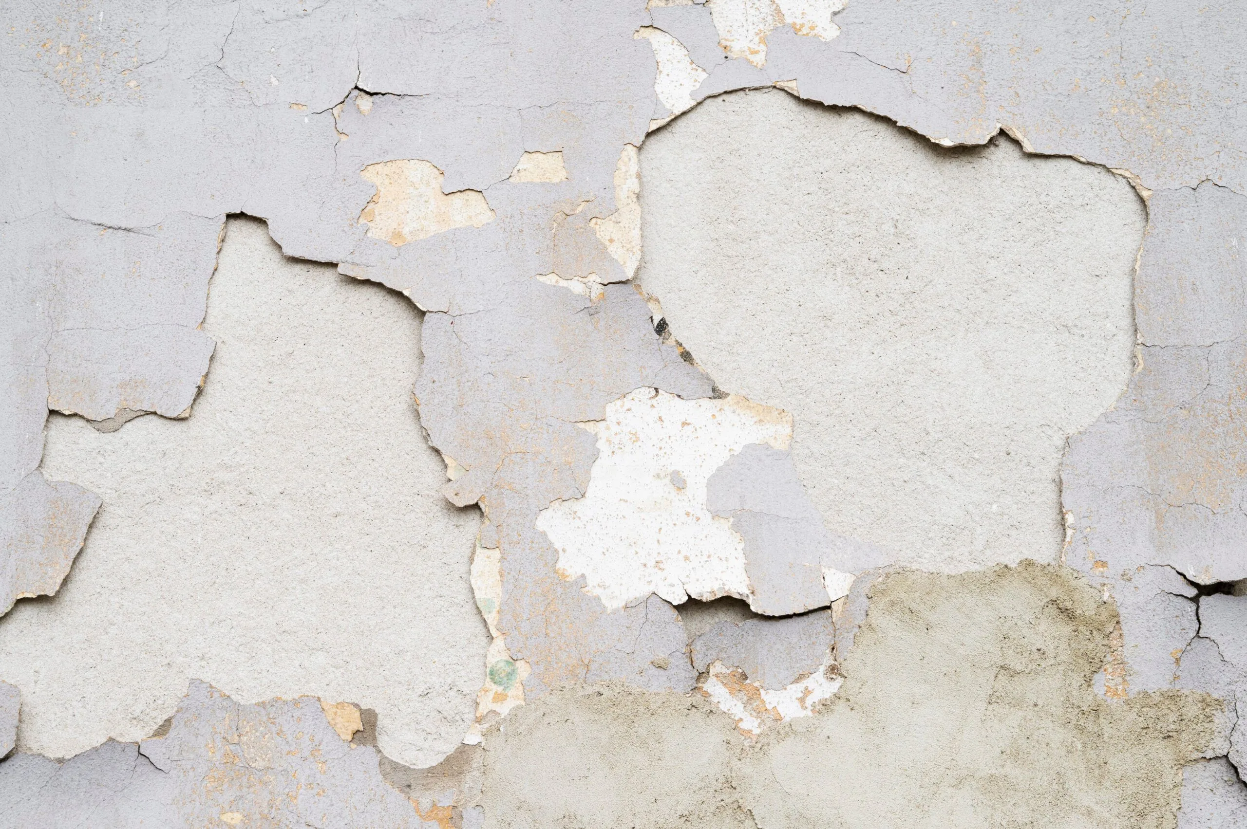 Contrasting outdoor texture design