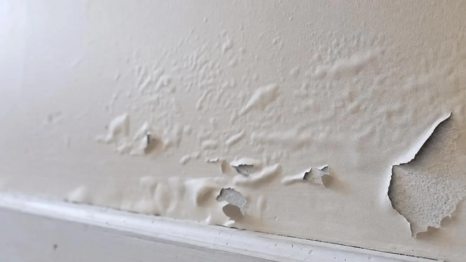 Close-up of interior wall paint bubbling and blistering off the surface