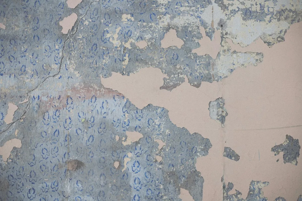 Wallpaper Removal by OnDemand Painters